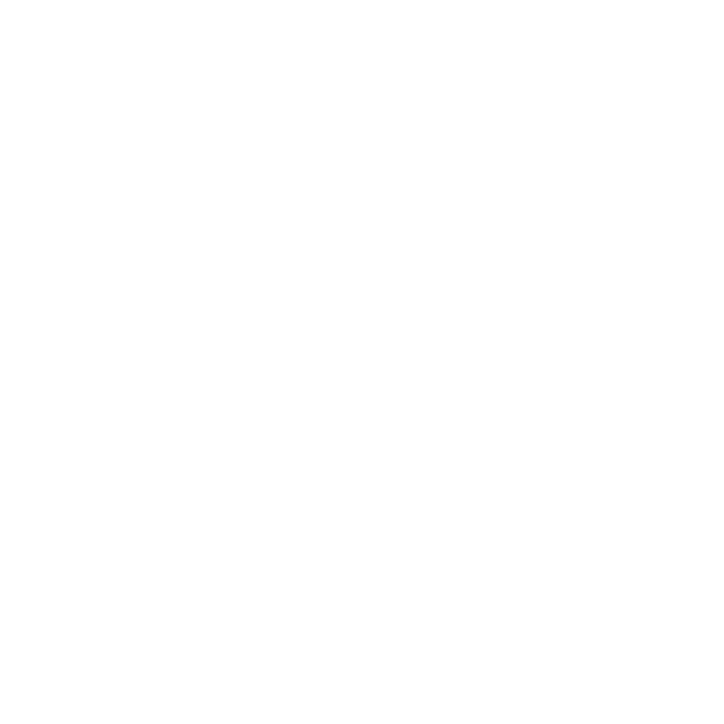 룸메이트