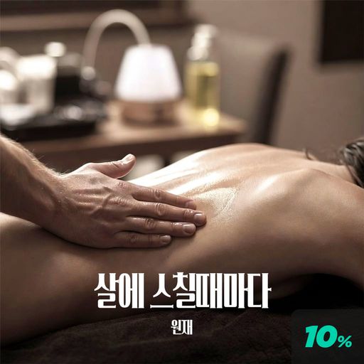 살에 스칠때마다 poster
