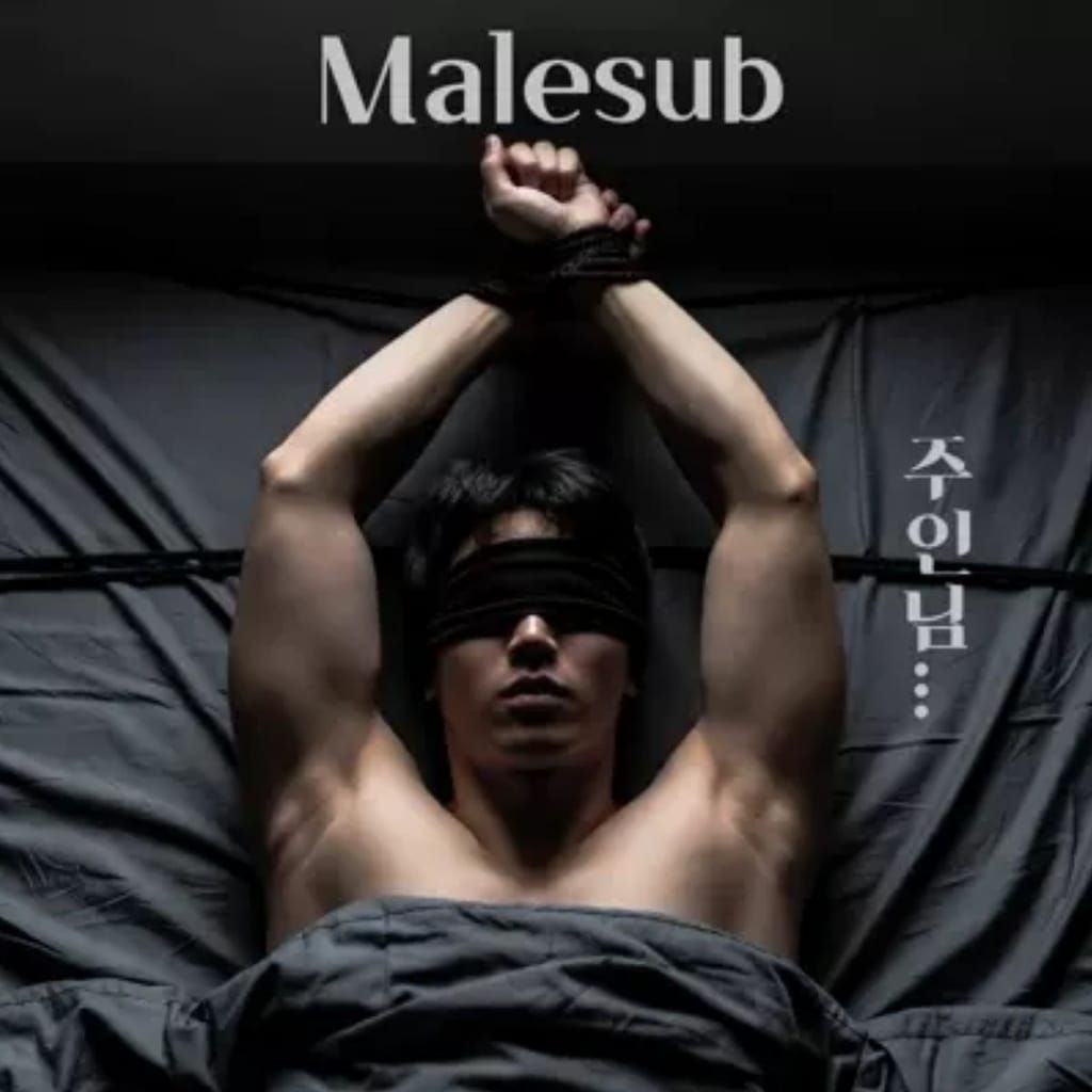 Malesub poster