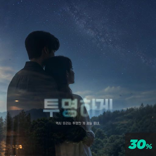 투명하게