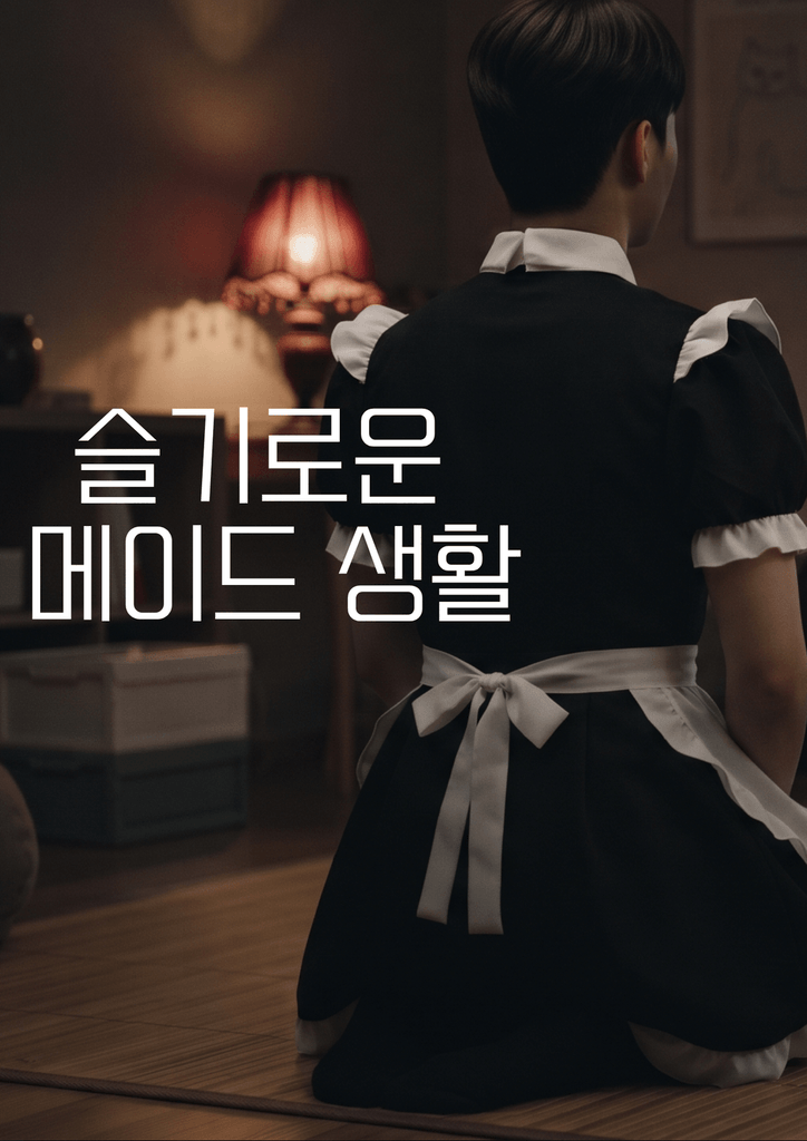 슬기로운 메이드 생활 poster