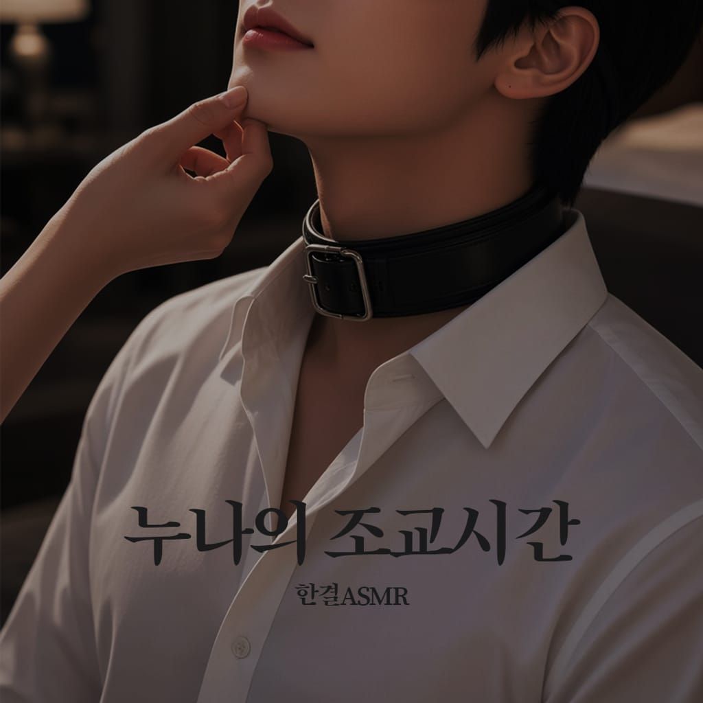 누나의 조교시간 poster