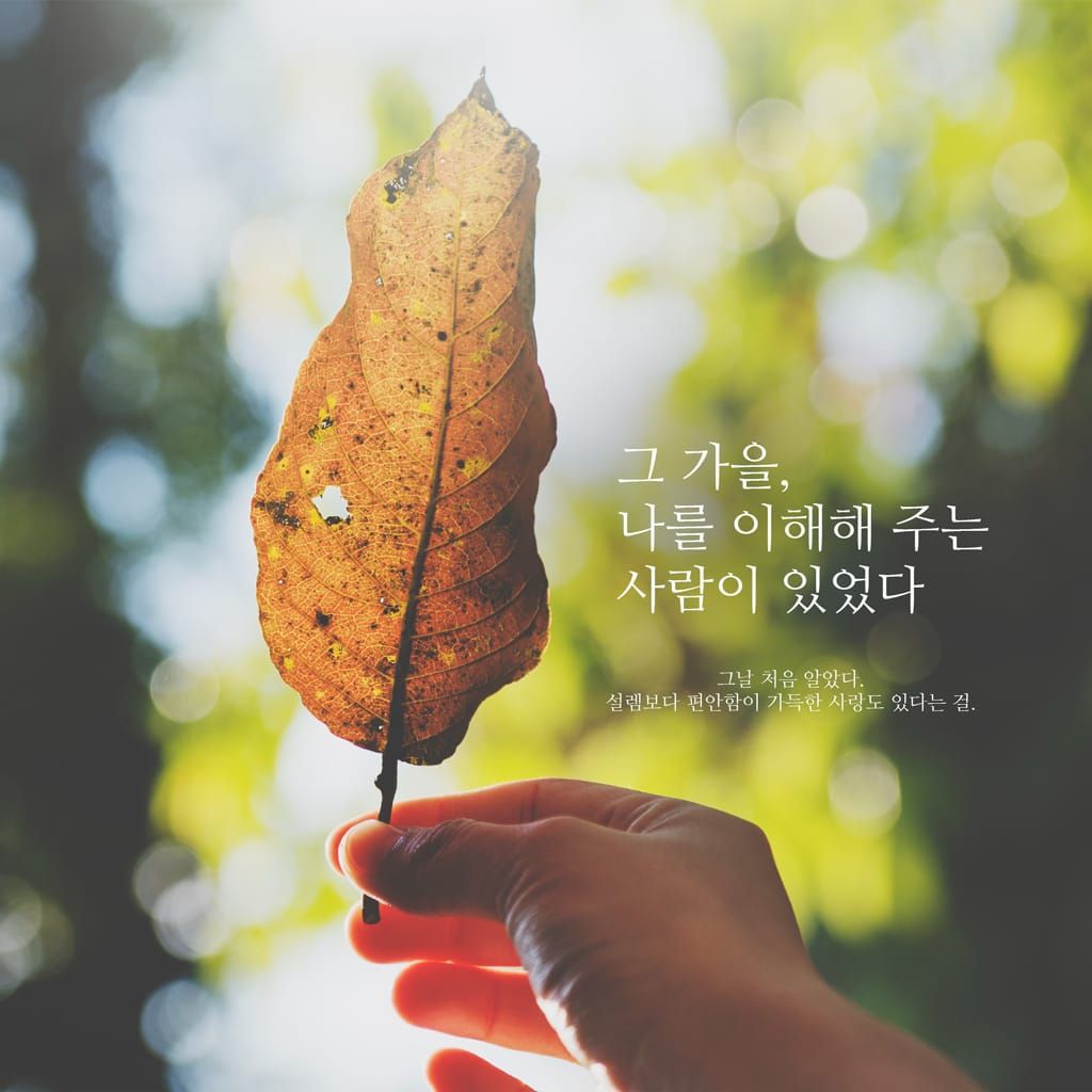 그 가을, 나를 이해해 주는 사람이 있었다 poster