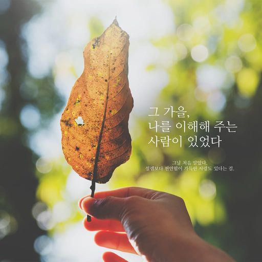 그 가을, 나를 이해해 주는 사람이 있었다 poster