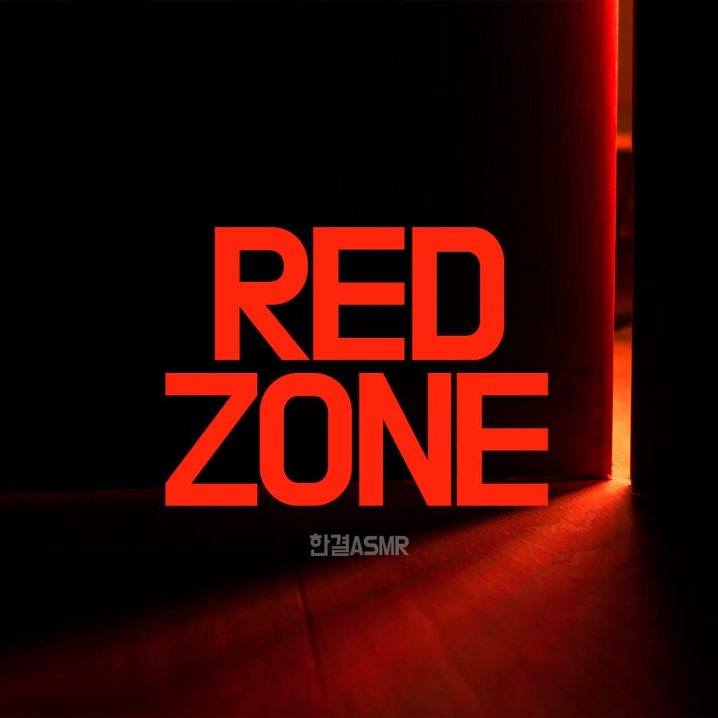 RED ZONE poster