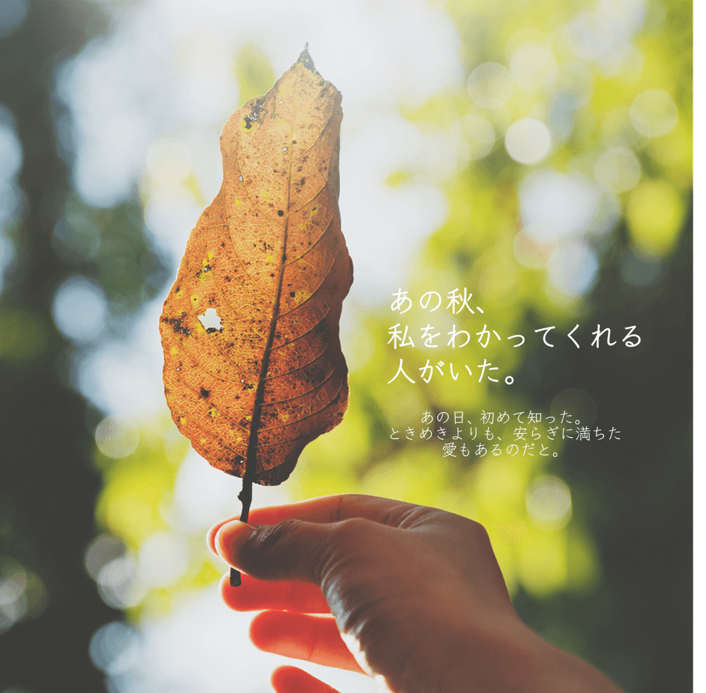 あの秋、私をわかってくれる人がいた。