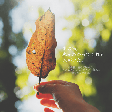 2. あの秋、私をわかってくれる人がいた。2話