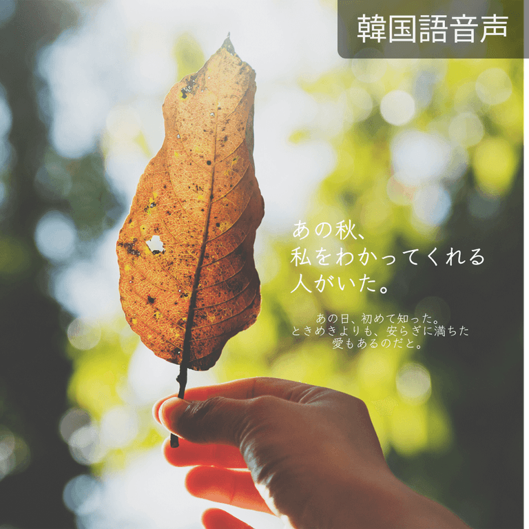 1. あの秋、私をわかってくれる人がいた。1話