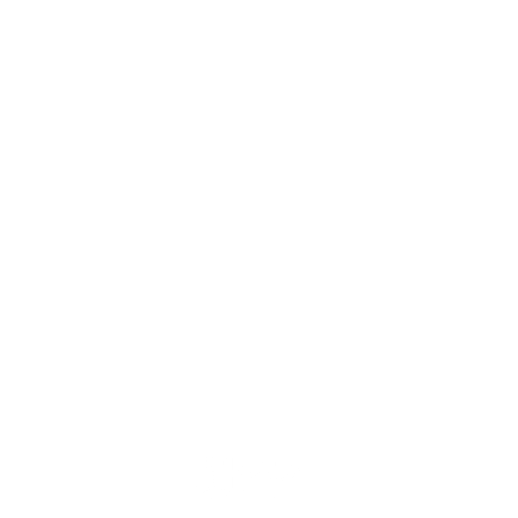 황춘식