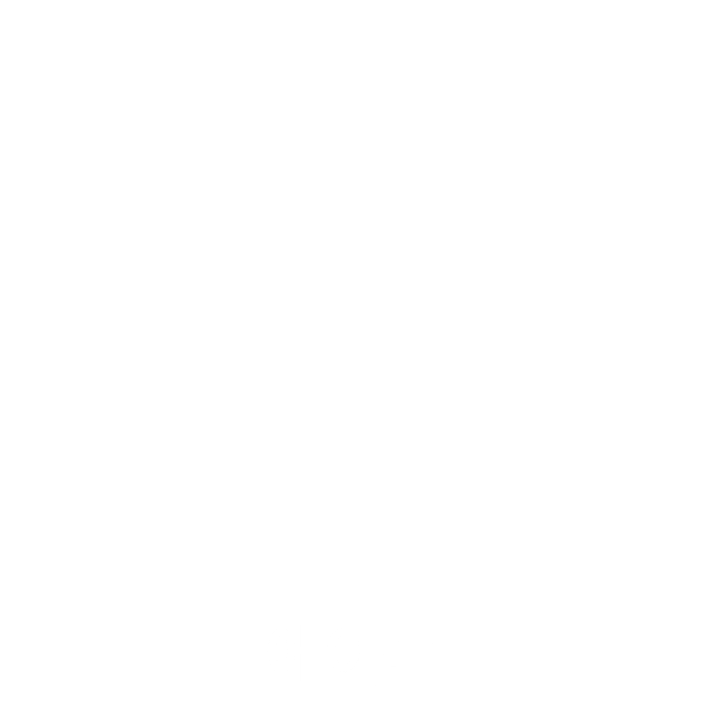 에이든