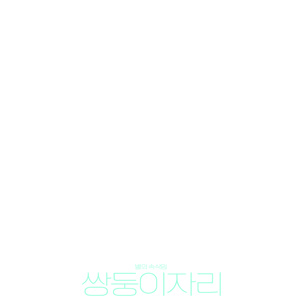 별의 속삭임 : 쌍둥이자리