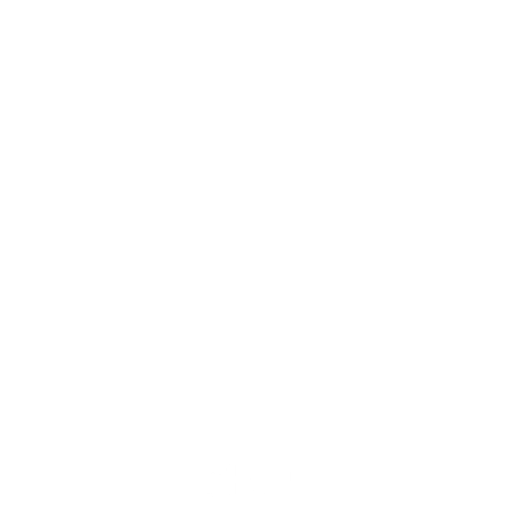 황재필