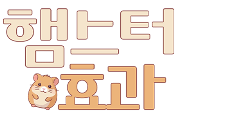 이번 주만 할인! 가격 DOWN, 설렘 UP!