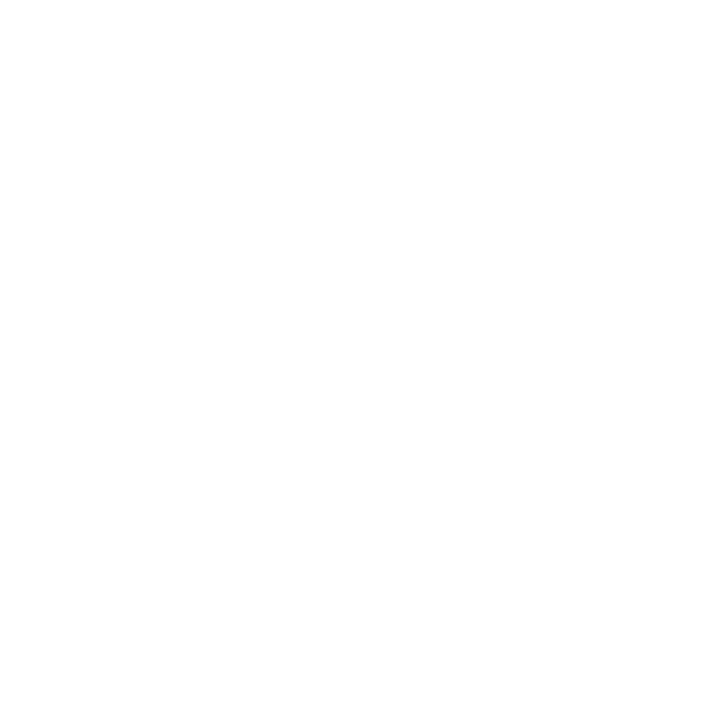 독고 헌