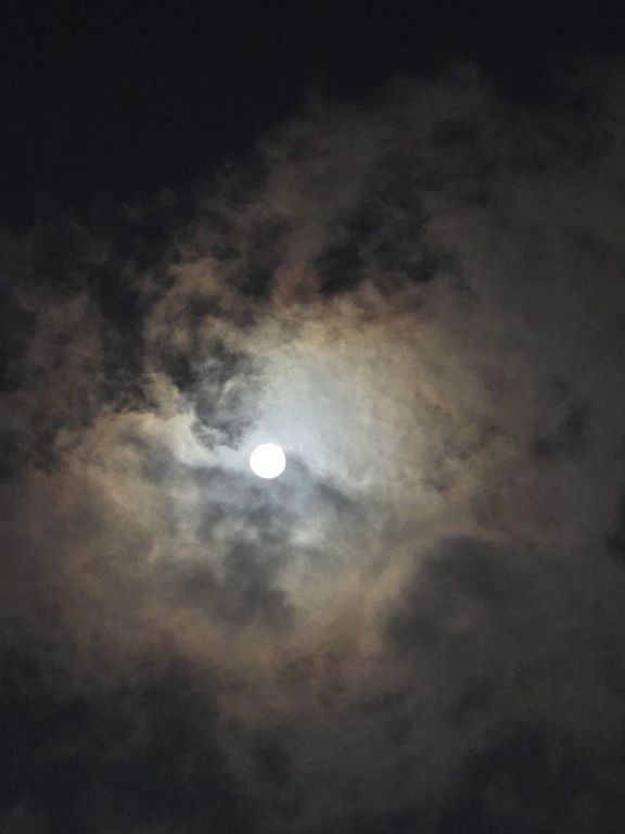 밤 산책 1