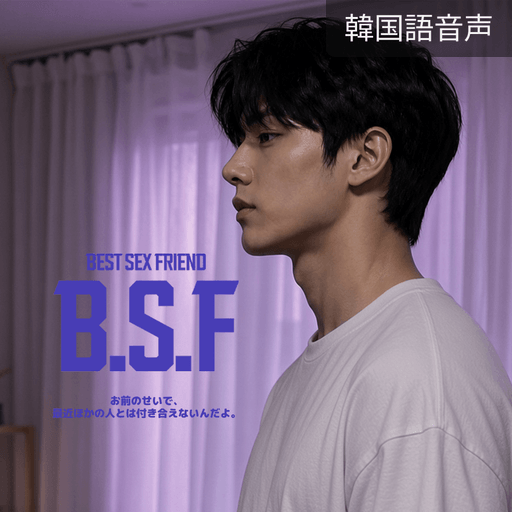 B.S.F poster