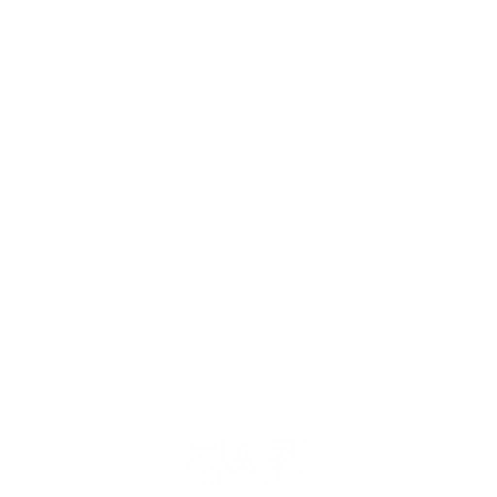 류시건
