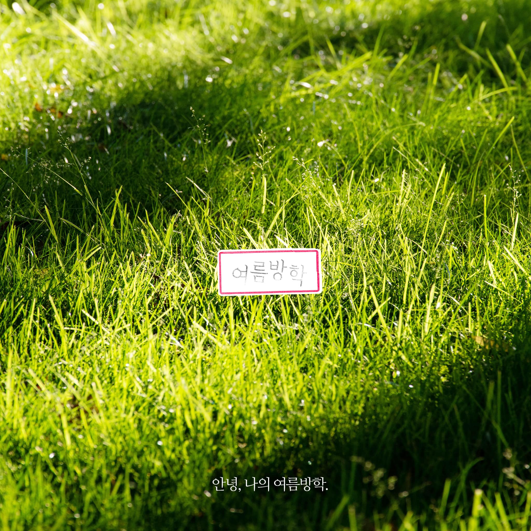 1화. 내일, 여기서 만나자.