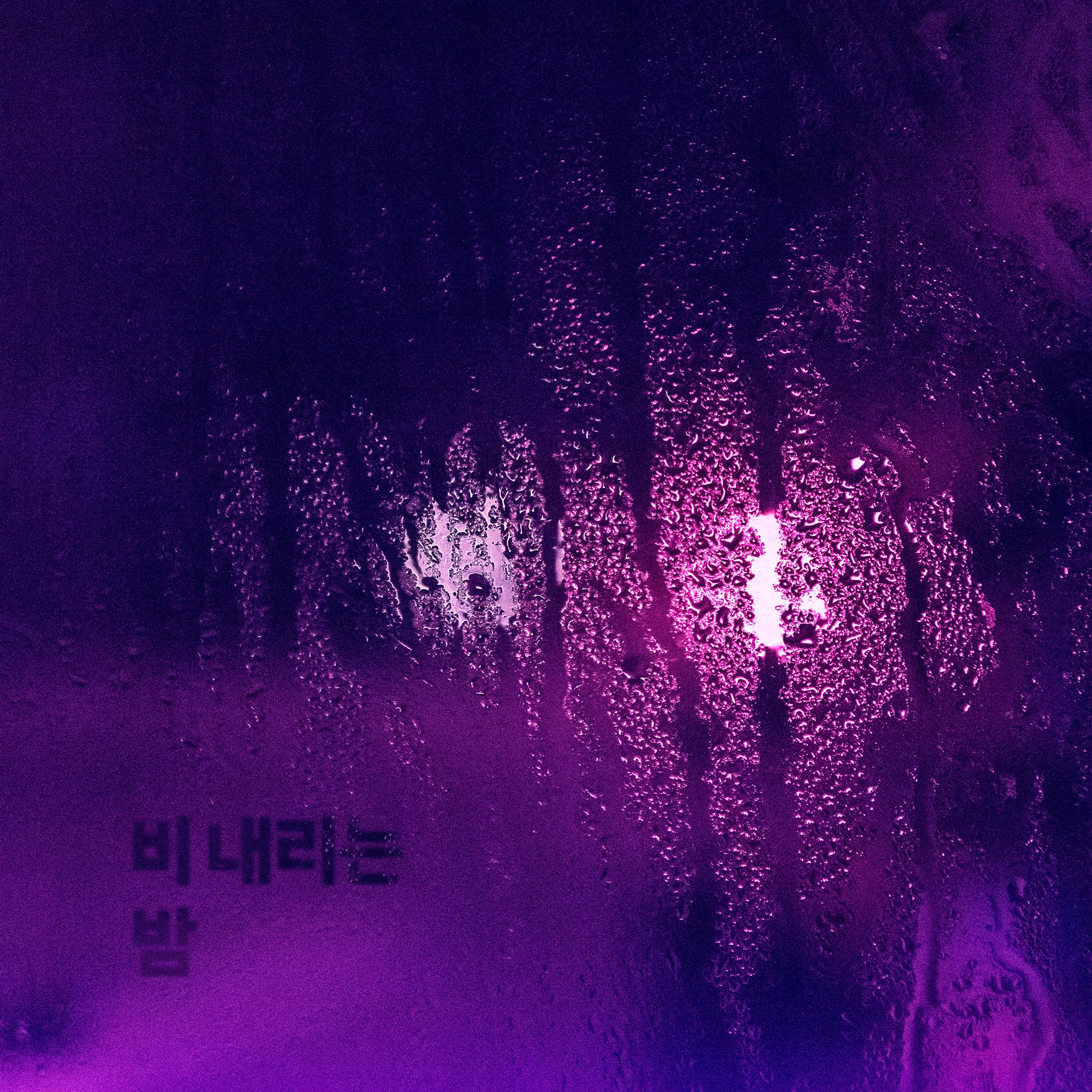 비 내리는 밤