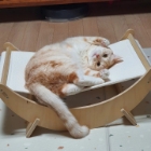 퐁신퐁신수플레