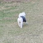 너랑살구