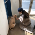 여이진