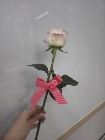 초코코코볼