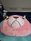 뾰로롱롱