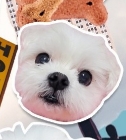 ss_eul