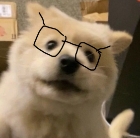 조ㅇㅏ