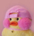 짱하미