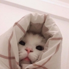 푸링푸린