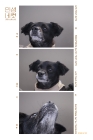 던짱
