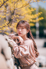 꼬헤스뽕당스