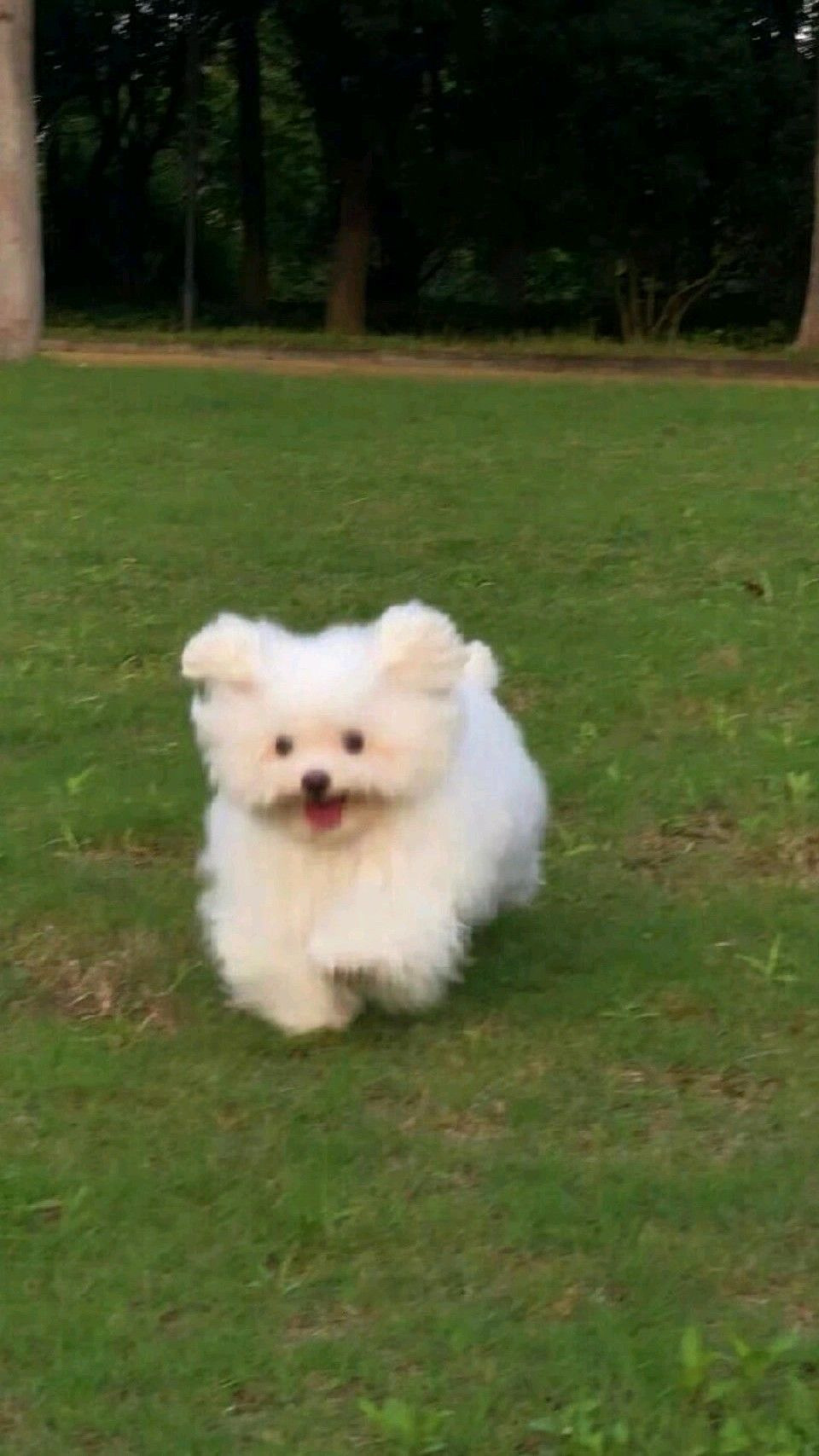 빈티지텀블러