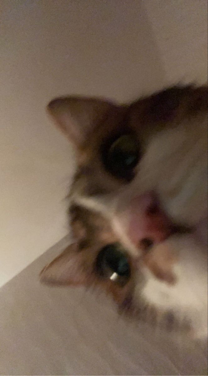 유당씨
