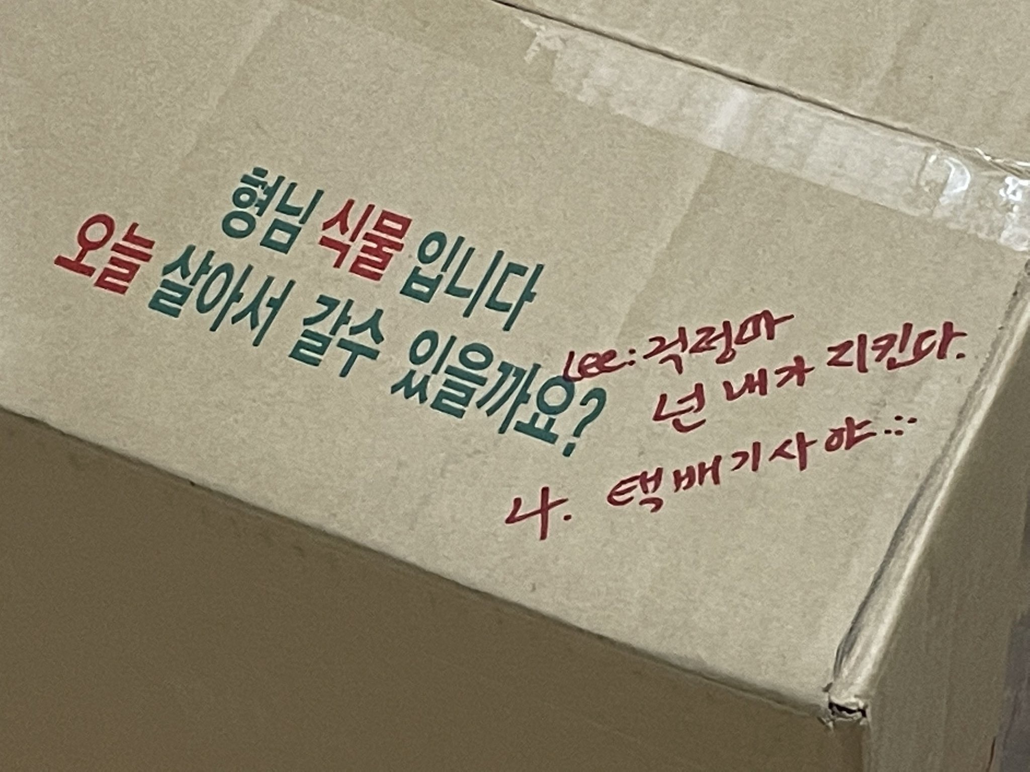 37금고고싱