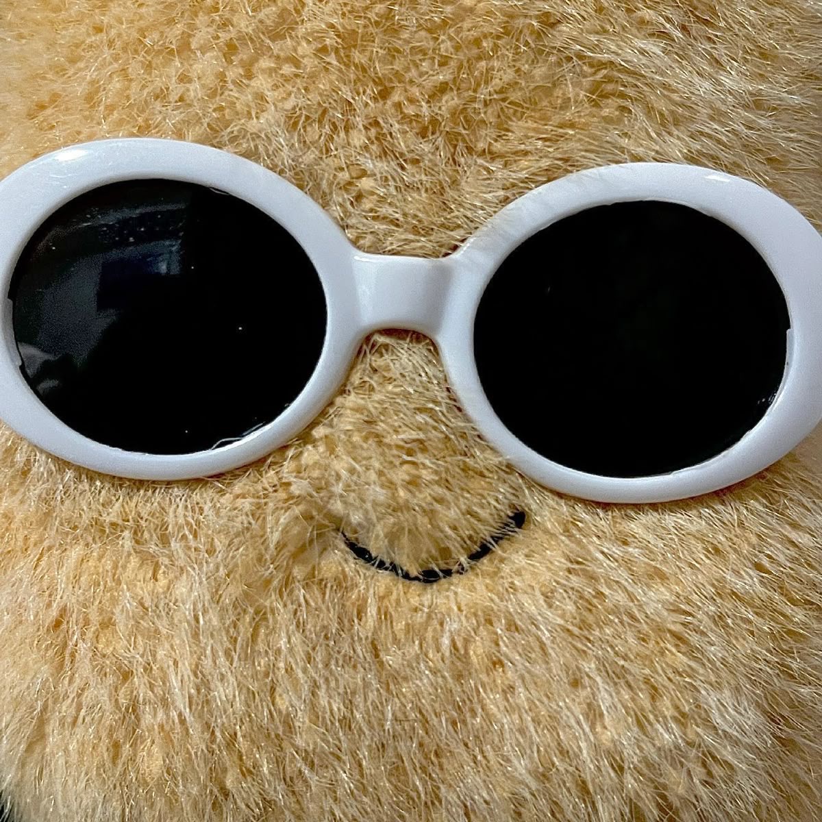 뉴감쟈