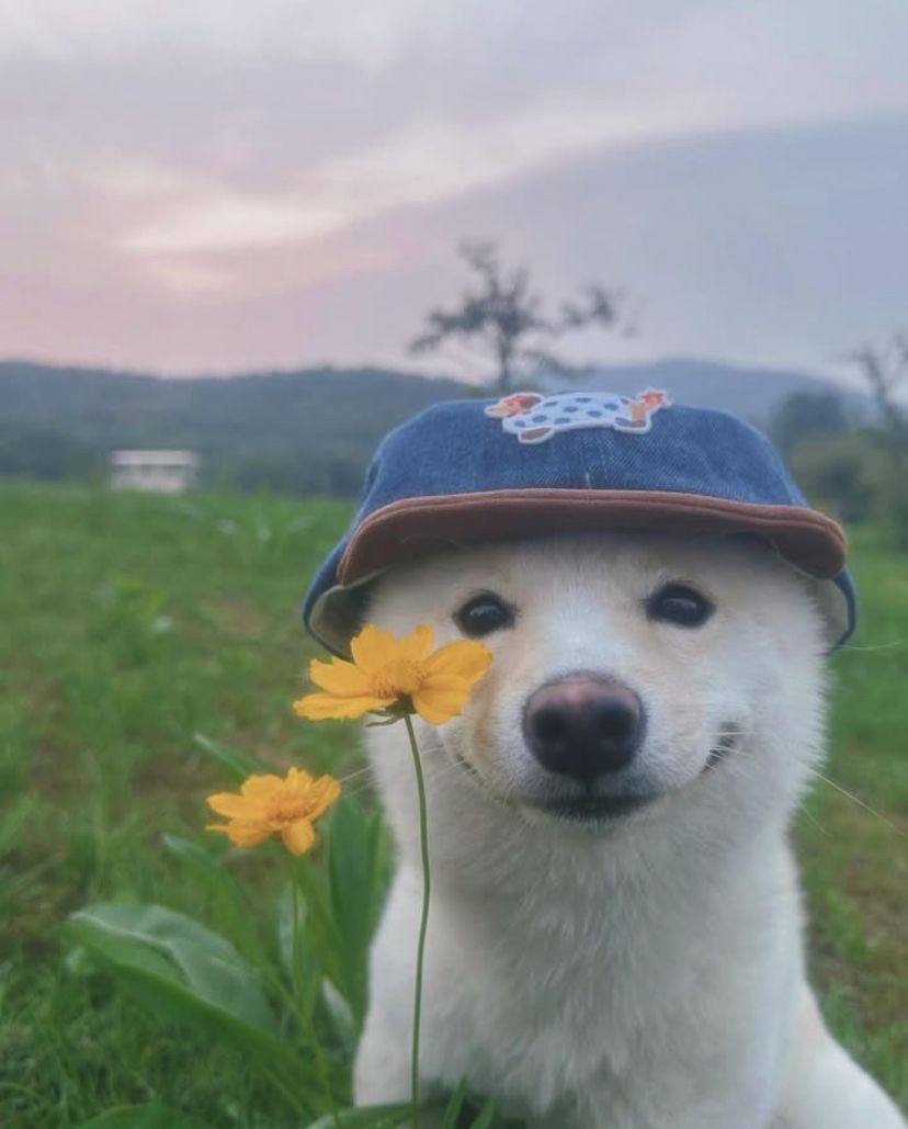 한그루