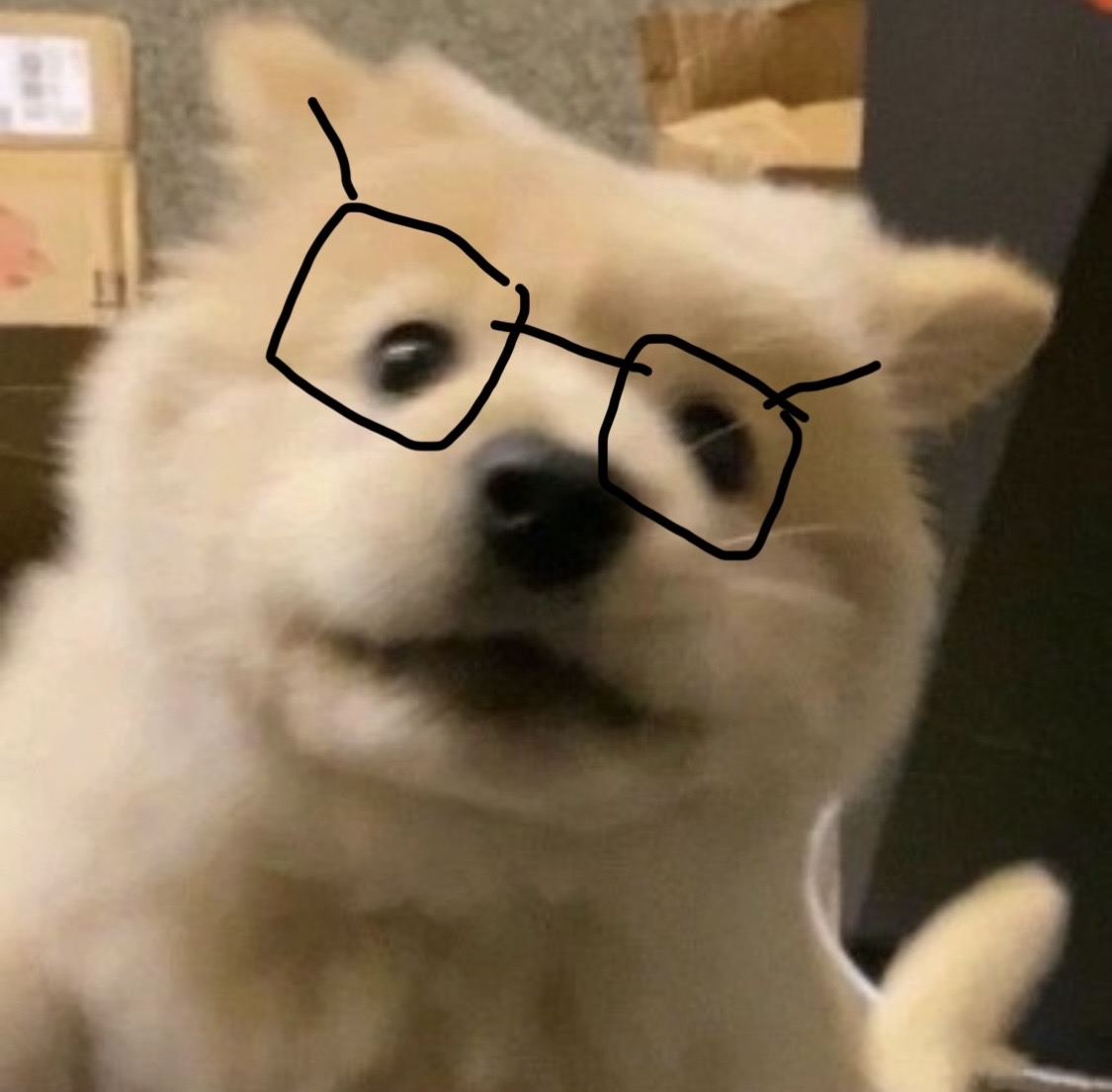 조0ㅏ