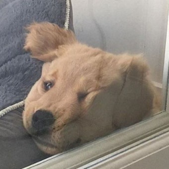 조0ㅏ