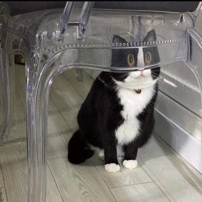 친절한혬혬씨