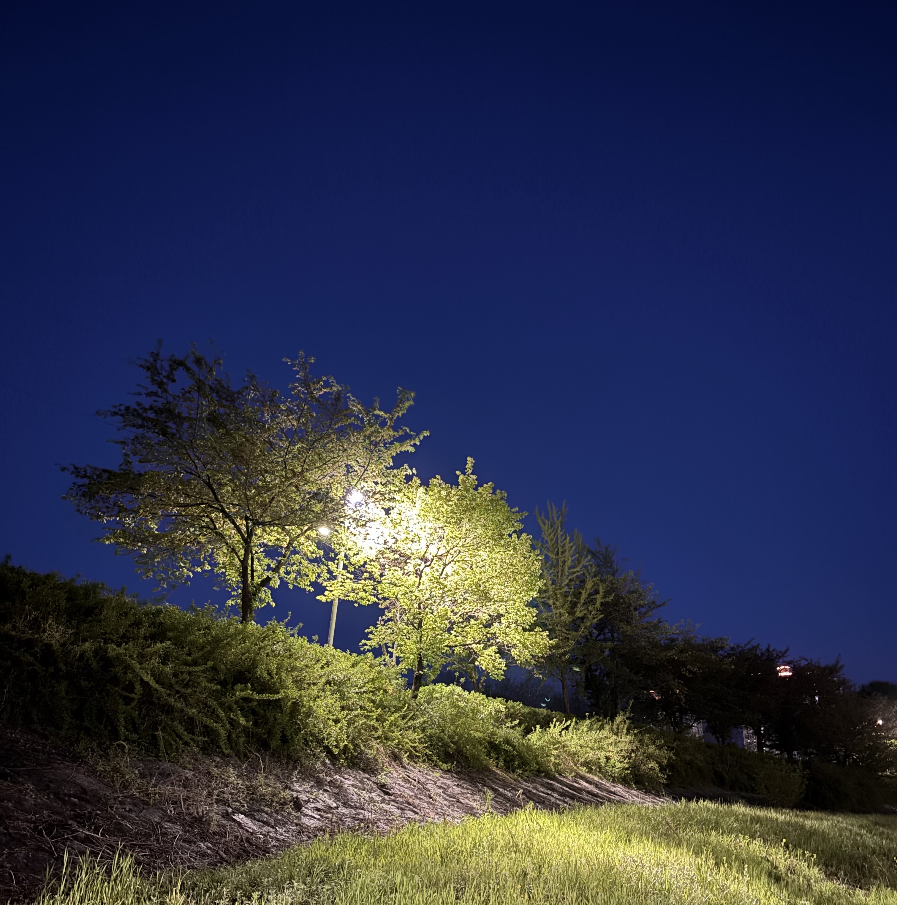 Bluehour