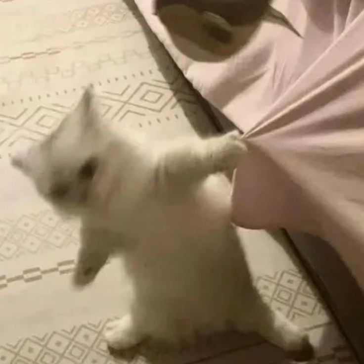 못참아
